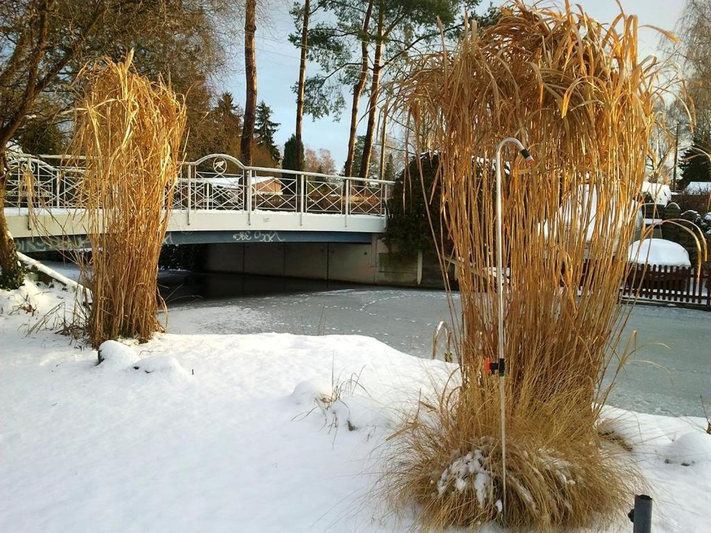 Pension An Der Elsterbruecke Berlin Exteriör bild